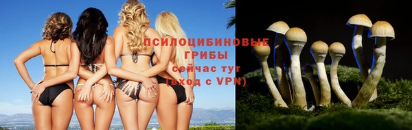 ALPHA-PVP Волосово