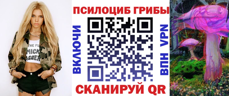 Галлюциногенные грибы GOLDEN TEACHER  Купить где  Новозыбков 